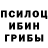 Галлюциногенные грибы Psilocybe Rae P