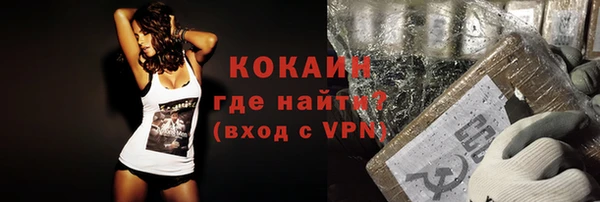 PSILOCYBIN Заводоуковск