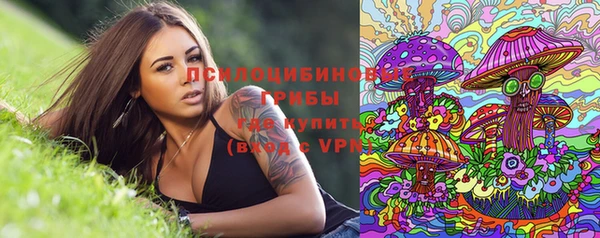 PSILOCYBIN Заводоуковск