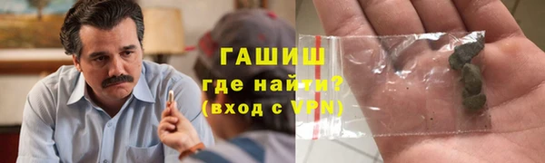PSILOCYBIN Заводоуковск