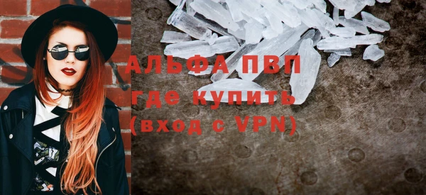 PSILOCYBIN Заводоуковск