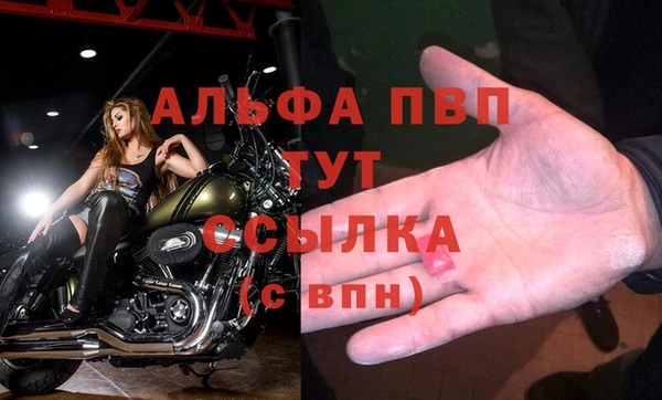 PSILOCYBIN Заводоуковск