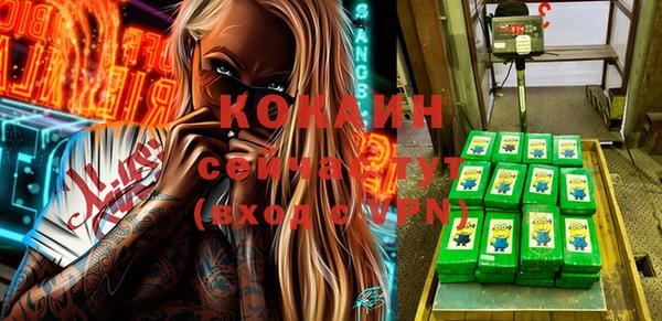 индика Елабуга