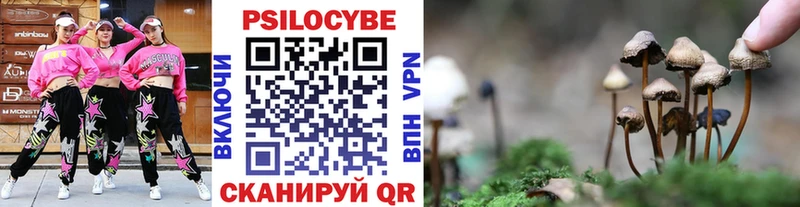 Псилоцибиновые грибы MAGIC MUSHROOMS  Купить закладки  Козловка 